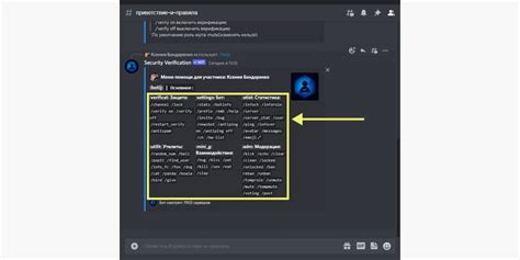 Подготовка команд для установки бота