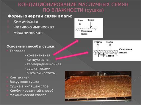 Подготовка к извлечению