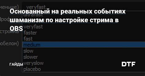 Подготовка к настройке стрима в LAICA