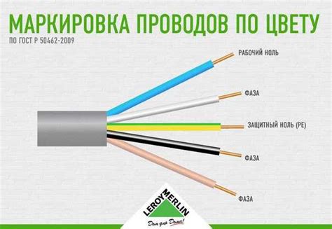 Подготовка к подключению провода фазы и нуля