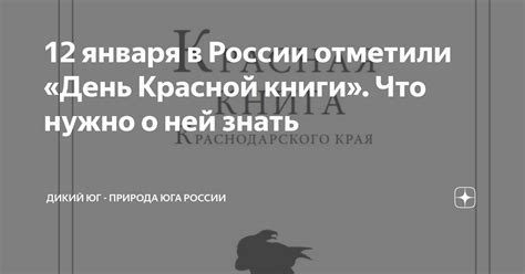 Подготовка к работе: все, что нужно знать