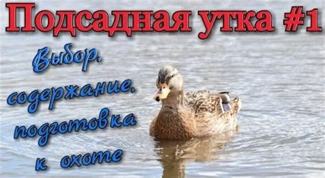 Подготовка к созданию утки в Майнкрафте