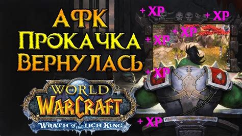 Подготовка к установке процентов хп в игре World of Warcraft: подробное описание шагов