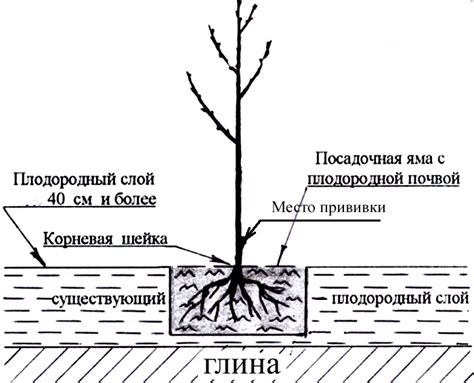 Подготовка места для включения танка