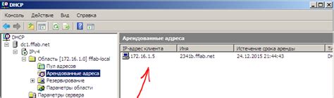 Подготовка операционной системы Debian перед установкой DHCP сервера