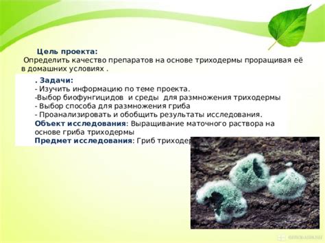 Подготовка среды для жизни гриба