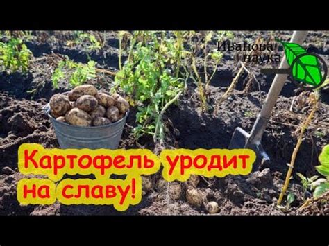 Подготовьте участок для арыка