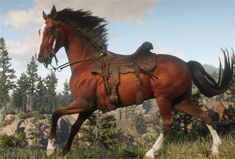 Поддержание здоровья лошади в игре Red Dead Redemption 2