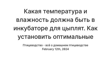 Поддержание оптимальных условий в инкубаторе