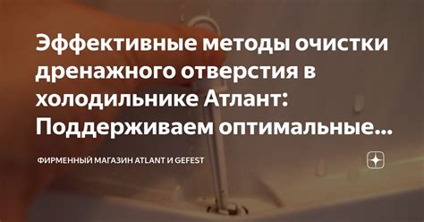 Поддерживаем оптимальные условия