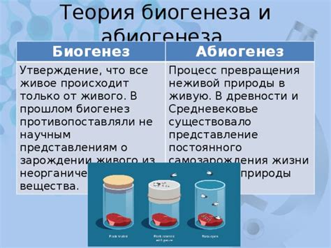 Поддержка и доказательства для теории абиогенеза