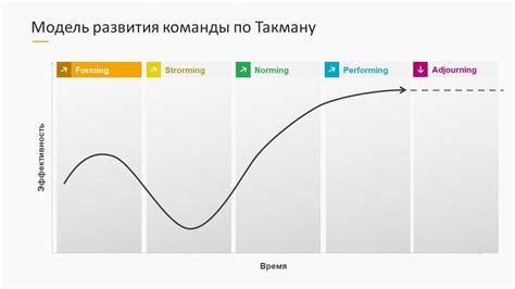 Поддержка и развитие команды