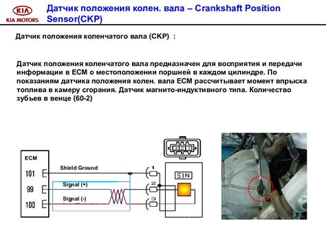 Подключение датчика к системе автомобиля