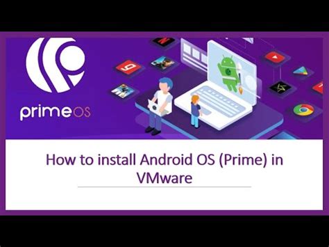 Подключение настроек сети в Prime OS на VMware