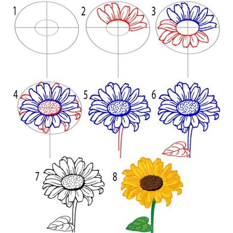 Подробная инструкция по рисованию подсолнуха для новичков