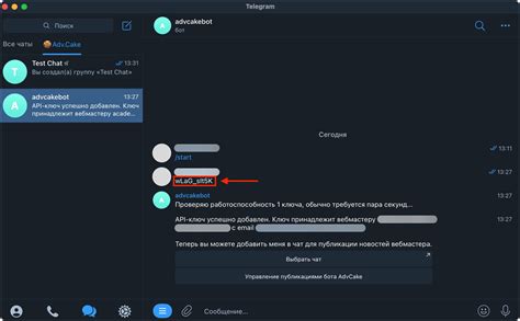 Подробная инструкция по установке Telegram бота