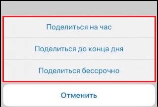 Подробное руководство по добавлению геолокации в локатор