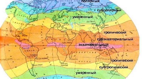 Подходящий климат для крупного шаровидного грузони-кактуса