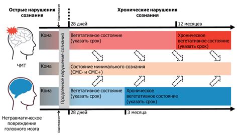 Позывы, конвульсии и нарушения сознания