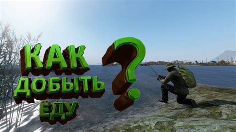 Поиск еды в DayZ – важнейшая задача для выживания