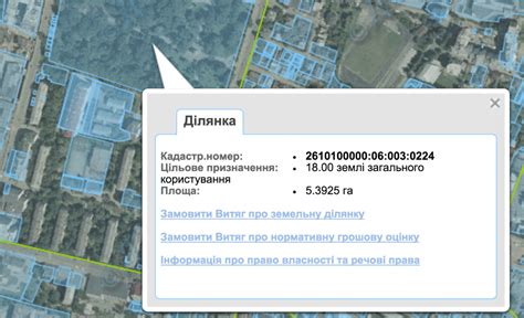 Поиск земельного участка по кадастровому номеру: описание процесса