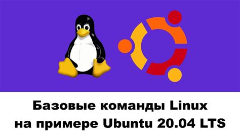 Поиск команды "Терминал" в Ubuntu: пошаговая инструкция