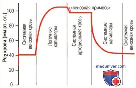 Показатели кислорода в организме