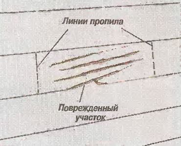 Покрытие поврежденного участка