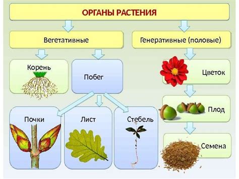 Полевые столпы и их строение