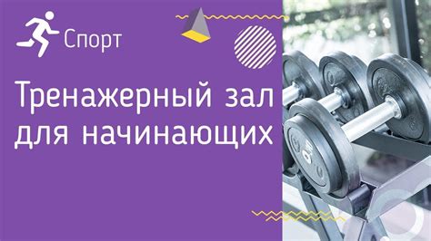 Полезные рекомендации по продуктивности для Годжо