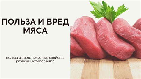 Полезные свойства медвежьего мяса