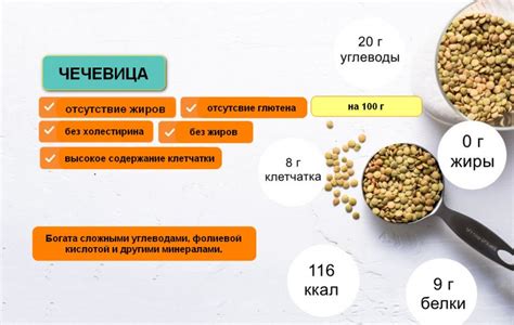 Полезные свойства чечевицы и ее включение в рацион питания