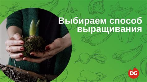 Полезные советы для выращивания