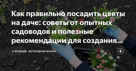 Полезные советы для мотивации и выносливости