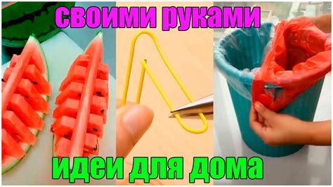 Полезные советы для очистки рицина