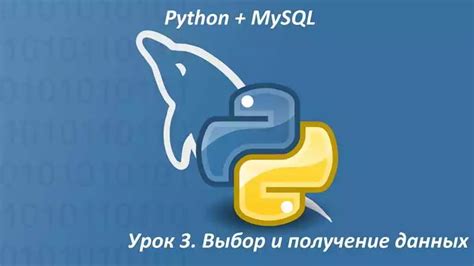 Полезные советы и трюки для использования бота rhythm в 2023 году