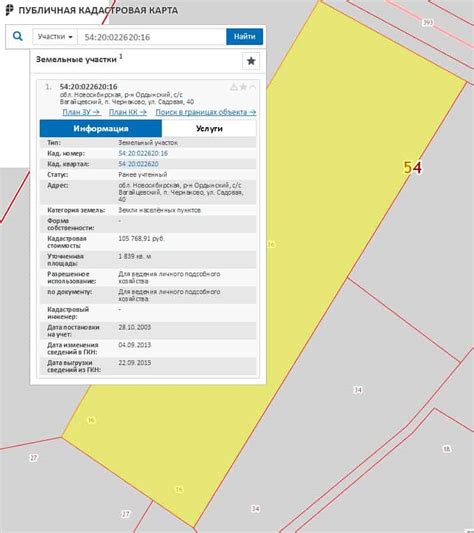 Полезные советы по проверке адреса по кадастровому номеру