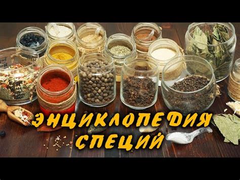 Полезные специи для обогащения вкуса сухого вина