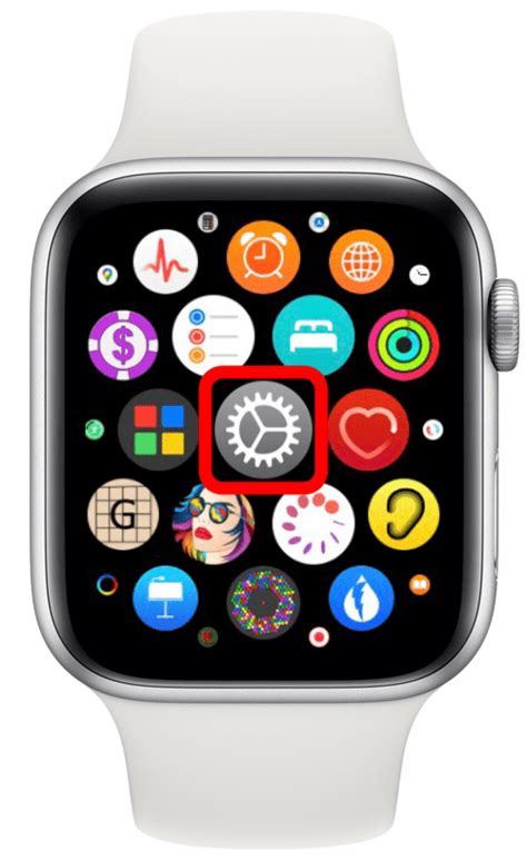 Полезные функции приложения осознанности на Apple Watch