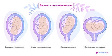 Полезны при беременности и развитии ребенка