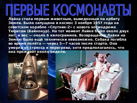 Полет Лайки в космическом корабле "Спутник-2"