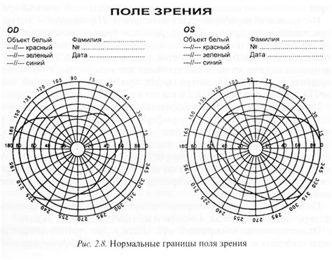 Поле зрения: влияние местности на эффективность