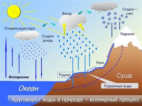 Полив: баланс между сушей и переувлажнением