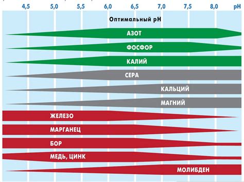 Полив растений кислой водой для поддержания кислотности почвы