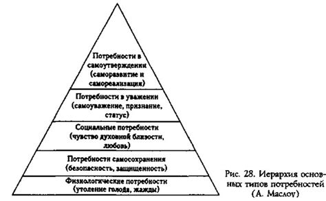 Полное описание внутренней мотивации