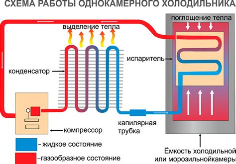 Полное понимание работы и действия холодильника