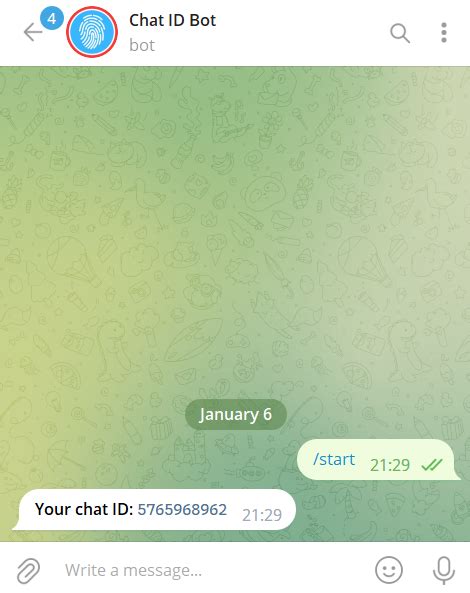 Полный гайд по поиску chat id в Telegram