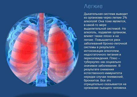 Положительное влияние на дыхательную систему