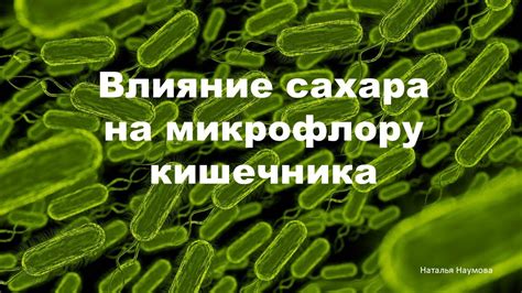 Положительное влияние на микрофлору организма