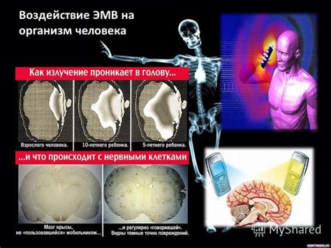 Положительное воздействие серебра на организм